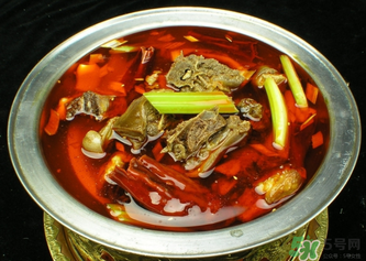 狗肉不能和什么一起吃？狗肉和什么相克？