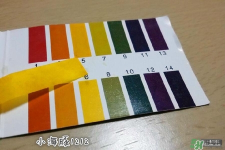 賽貝格哪里買？賽貝格哪里有專柜？