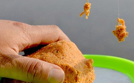 青魚怎么釣？釣青魚用什么餌料最好？