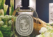 diptyque多少錢？diptyque專柜價(jià)格