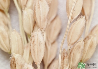 韓律適合什么膚質(zhì)？韓律適合敏感肌膚嗎？
