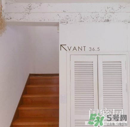 vant氣墊粉底霜怎么樣？vant36.5粉霜粉膏好用嗎？