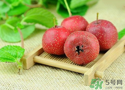 新鮮山楂什么時候上市？新鮮山楂什么時候成熟？