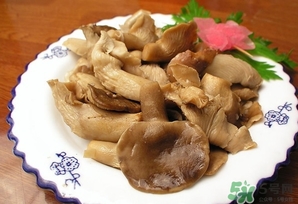 鮑魚菇怎么做好吃？鮑魚菇的功效與作用