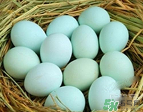 綠皮雞蛋是怎么回事？綠皮雞蛋的營(yíng)養(yǎng)價(jià)值