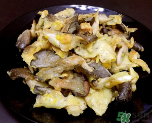 平菇能和雞蛋一起吃嗎？平菇和雞蛋能一起吃嗎？