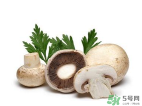 草菇怎么保存？新鮮草菇怎么保存？