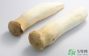 雞腿菇長(zhǎng)白毛能吃嗎？雞腿菇怎么做好吃？