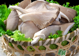 蘑菇可以放冰箱嗎？蘑菇放冰箱長毛了能吃嘛？
