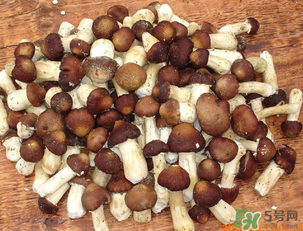 草菇可以放冰箱嗎？草菇放冰箱還能吃嗎？