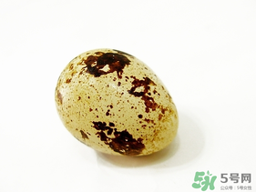 鵪鶉蛋不能和什么一起吃？鵪鶉蛋不能與什么同食？