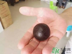 羊?qū)毷鞘裁?？羊?qū)殲槭裁催@么貴？