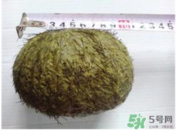 羊?qū)毷鞘裁?？羊?qū)殲槭裁催@么貴？