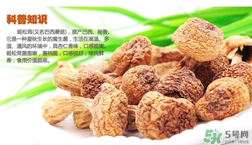 巴西蘑菇怎么吃？巴西蘑菇的作用與功效