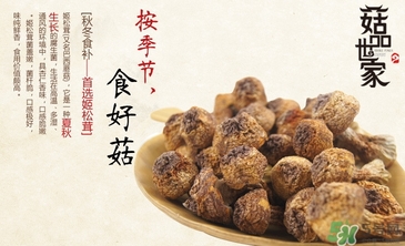 巴西蘑菇怎么吃？巴西蘑菇的作用與功效