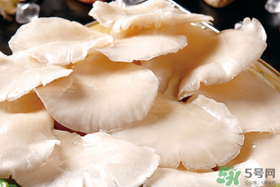 平菇怎么洗？平菇怎么洗才干凈？