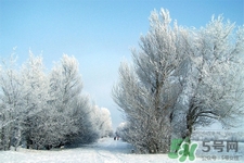 下雪天會(huì)打雷嗎？下雪天為什么會(huì)大雷？
