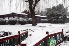 下雪天要打傘嗎？下雪天到底要不要打傘？