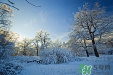 下雪天要打傘嗎？下雪天到底要不要打傘？