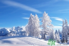 下雪天要打傘嗎？下雪天到底要不要打傘？