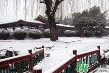 下雪高鐵會停運嗎？下雪天會影響高鐵嗎？
