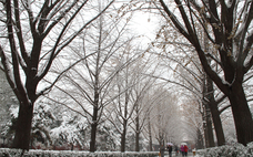 下雪要達(dá)到幾度 下雪會出太陽嗎