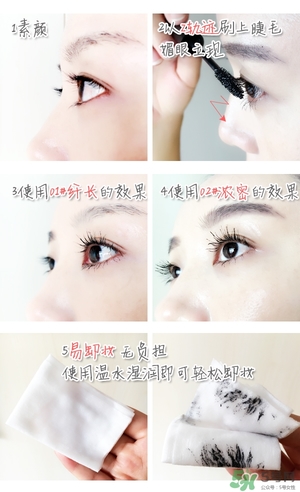 菲詩小鋪大肚子睫毛膏多少錢？菲詩小鋪大肚子睫毛膏專柜價