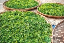 冬天喝什么茶能減肥？冬季九款茶暖胃又瘦身