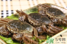 寶寶能吃螃蟹嗎？寶寶可以吃螃蟹肉嗎？