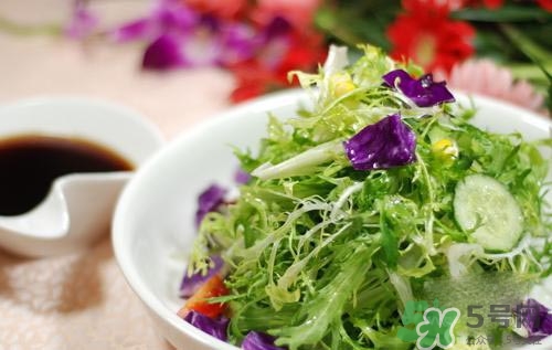 苦菊可以減肥嗎？苦菊怎么吃可以減肥？