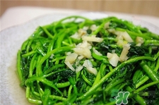 西洋菜的營(yíng)養(yǎng)價(jià)值 西洋菜的功效與作用