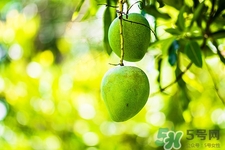 來(lái)月經(jīng)可以吃酸棗嗎?經(jīng)期吃酸棗好嗎