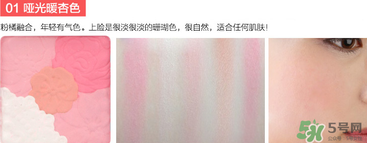 canmake花瓣腮紅珠光還是啞光好？canmake腮紅珠光好看還是啞光？