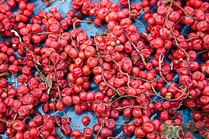 五味子茶韓國怎么喝？五味子茶的五種味道代表什么？