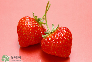 冬天有草莓嗎？冬天的草莓能吃嗎？