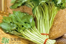 冬天可以吃空心菜嗎？冬天排毒多吃空心菜