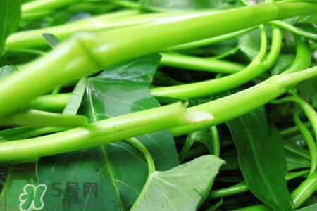 冬天可以吃空心菜嗎？冬天排毒多吃空心菜