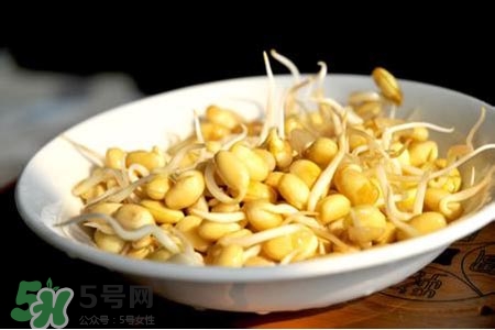 冬天可以發(fā)豆芽嗎？冬天怎樣發(fā)黃豆芽？