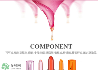 美顏秘笈好用嗎？美顏秘笈果凍口紅孕婦可以用嗎？