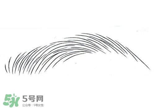 掉眉毛是怎么回事？掉眉毛還會長嗎？