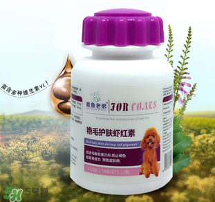 泰迪吃蝦紅素好嗎？蝦紅素的功效與作用