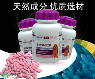 泰迪吃蝦紅素好嗎？蝦紅素的功效與作用