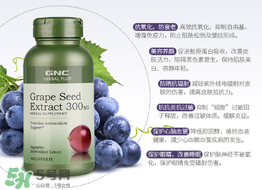 gnc葡萄籽怎么吃？gnc葡萄籽一天吃幾粒？