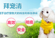 拜寵清要怎么喂？拜寵清驅(qū)蟲(chóng)藥說(shuō)明書(shū)