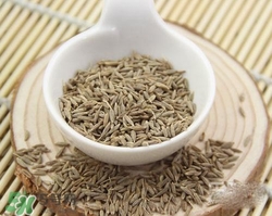 小茴香是孜然嗎？小茴香和孜然的區(qū)別