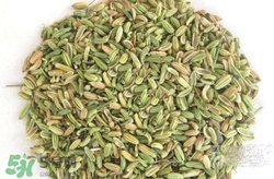 小茴香來(lái)月經(jīng)可以吃嗎？來(lái)月經(jīng)可以吃小茴香嗎？