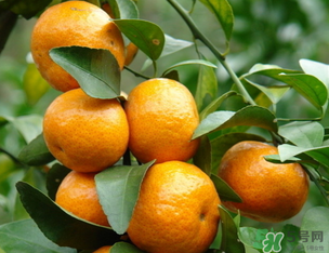 小橘子上火嗎？小橘子吃多了會上火嗎？