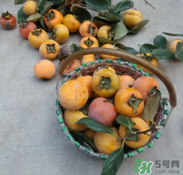柿子長白點還能吃嗎？柿子上有白點能吃嗎？