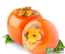 柿子籽能吃嗎？柿子籽的功效與作用