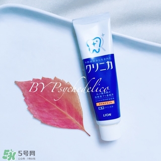 獅王牙膏保質(zhì)期怎么看？獅王牙膏保質(zhì)期是多久？
